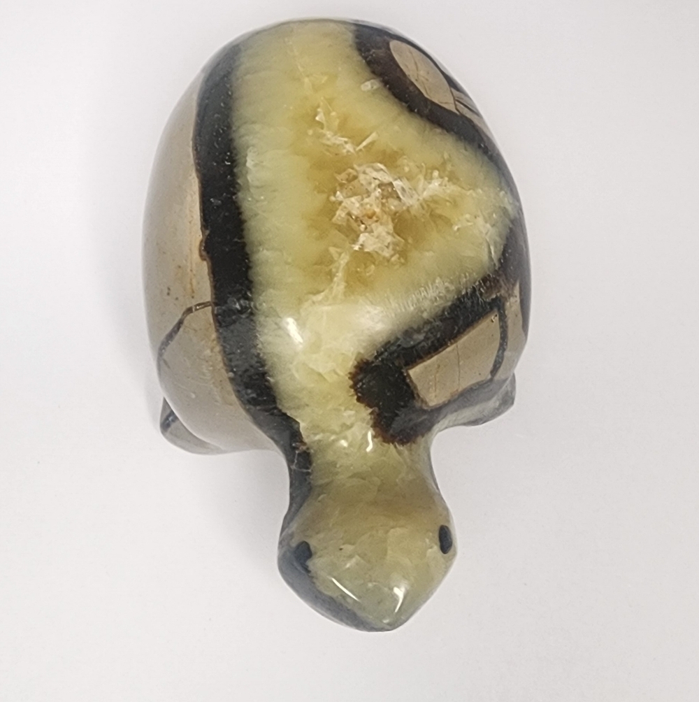 Septerian Carved Turtle.  4in X 2in. 502grams. UV Reactive - Picture 2 of 9